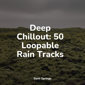 Field, Calm Wind, Birds