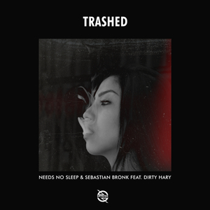 Trashed (feat. Dirty Hary) [Extended Mix]