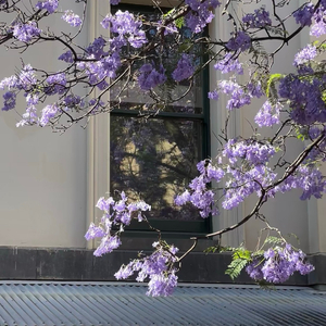 澄澄不想睡-线（因为遇见你，我才一点一点找回自己）（長亭见鹿 remix）