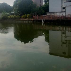 没见过自己