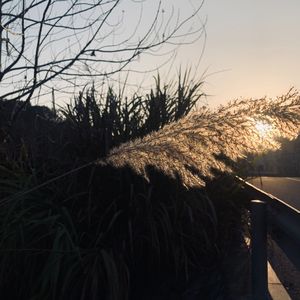 醒着醉（吉他）