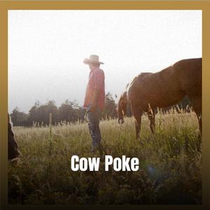 Cow Poke