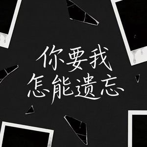 你要我怎能遗忘 伴奏