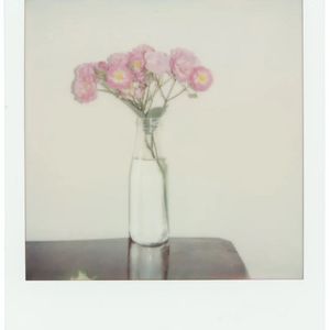 【冰壶秋月】Chinese trap beat