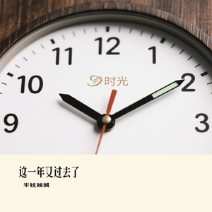 这一年又过去了