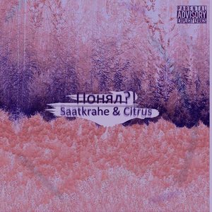 Понял?! (Nightcore Remix)