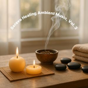 光の中に漂う (Floating in Light)