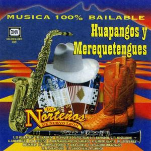 Cuando Vayas a Tampico