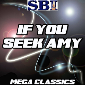 If You Seek Amy