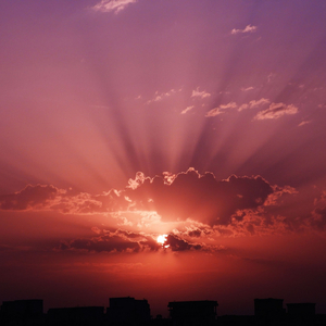 Солнечное лето