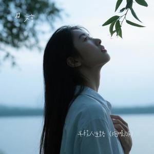 半程人生路