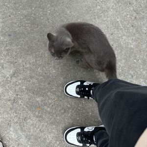 Calling（Prod. JAE）