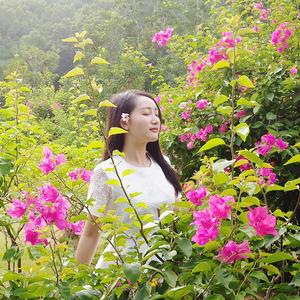 凤凰花开的路口demo（女声版）