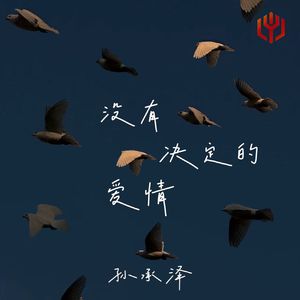 没有决定的爱情