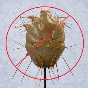 Stop Mange Mites 01