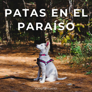 Vínculo De La Naturaleza Con Las Patas De Tu Perro