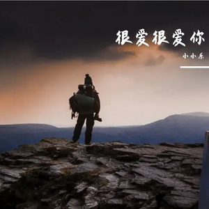 心中的忧伤-整曲