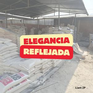 ELEGANCIA REFLEJADA