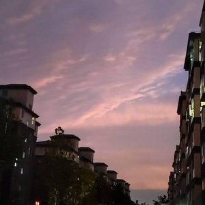 我看过
