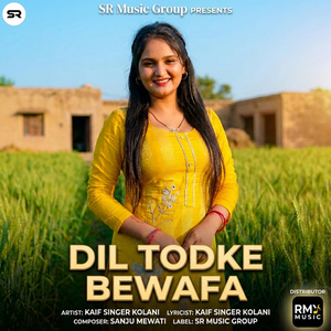 Dil Todke Bewafa