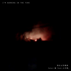 我在火里燃烧