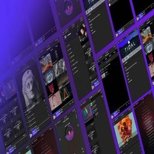 狂野燥起来-当游戏和音乐开始碰撞（狂野燥起来 remix）