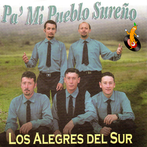 Pobre Gaviota