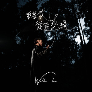 就当我从没来过