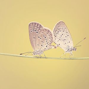 精彩晚上放松环境