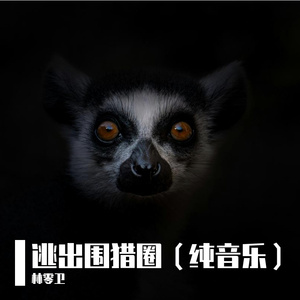 逃出围猎圈
