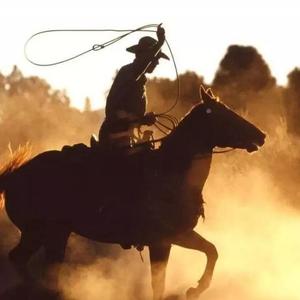 Cowboy