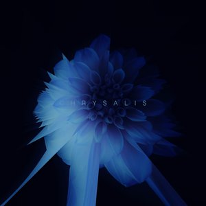 Chrysalis