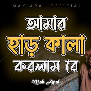 আমার হাড় কালা করলাম রে (Piano Version)