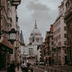 月亮里的玫瑰与故事