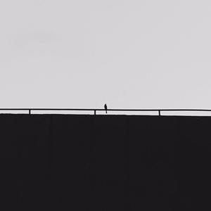 我可是你手中那一朵鲜花