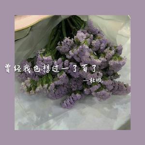 曾经我也想过一了百了(乐队中文版)