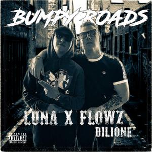 Bumpy Roads (feat. Flowz Dilione)