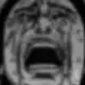 noooo
