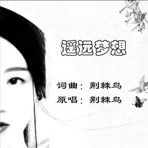 遥远梦想