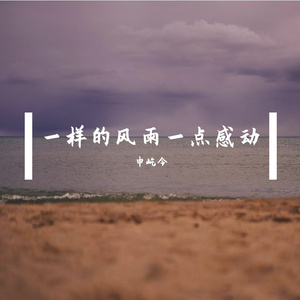 一样的风雨一点感动
