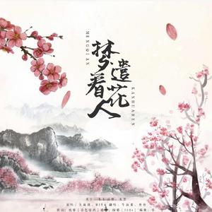 HITA-梦遣看花人（Cover：HITA/玉璇玑）（牛油果 / 丹丹 remix）