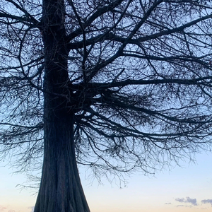 《古韵武侠山水情》