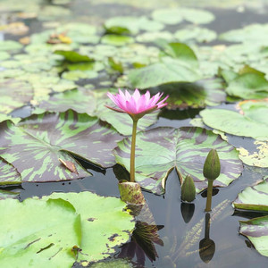 好幸运 你像一个礼物一样出现在我的生命里