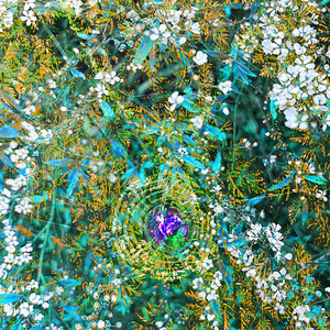 Solidification, Cementation, Crystalization