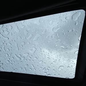Sorry I Left My Feelings in Your Glove Compartment