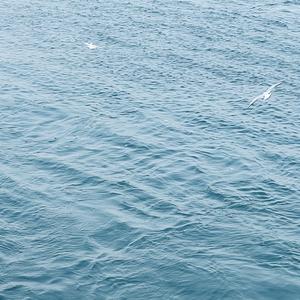 你说过的永远已尽头