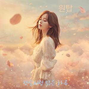 햇살처럼 맑은 하루