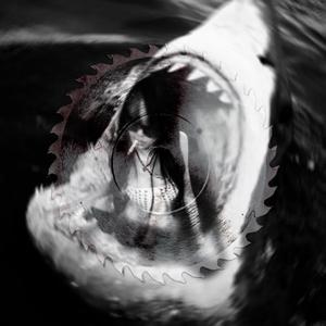 SuccuBass