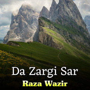 Da Zargi Sar