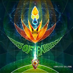 Free Energy ((Flootin Grooves RMX))